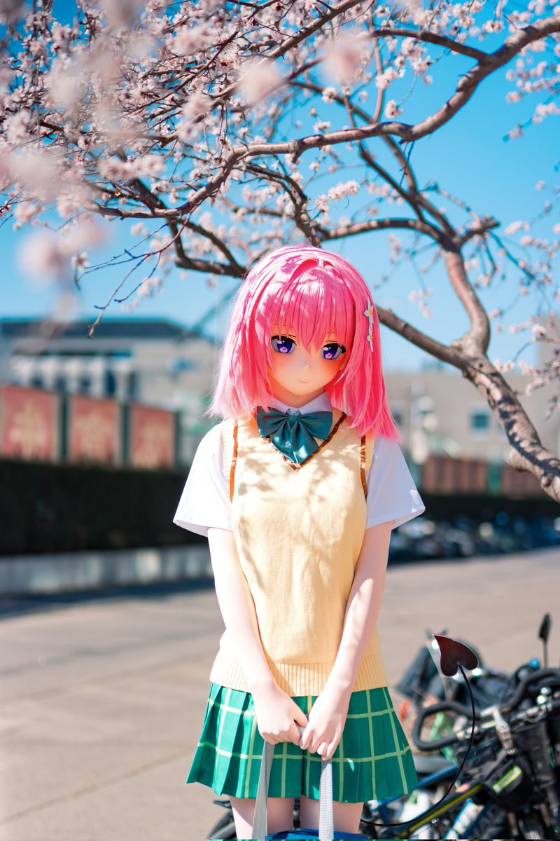 子月 tweet media