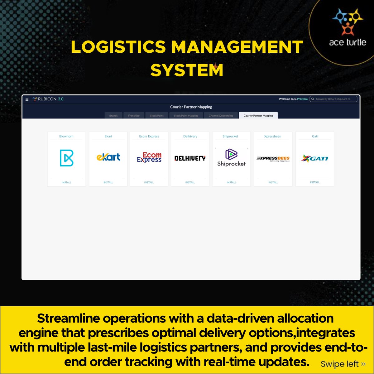 ace turtle tweet media