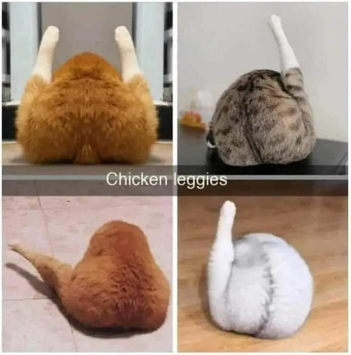 🍗4態
どれがお好みかにゃん🤣🤣

でござるにゃん(^_^;)