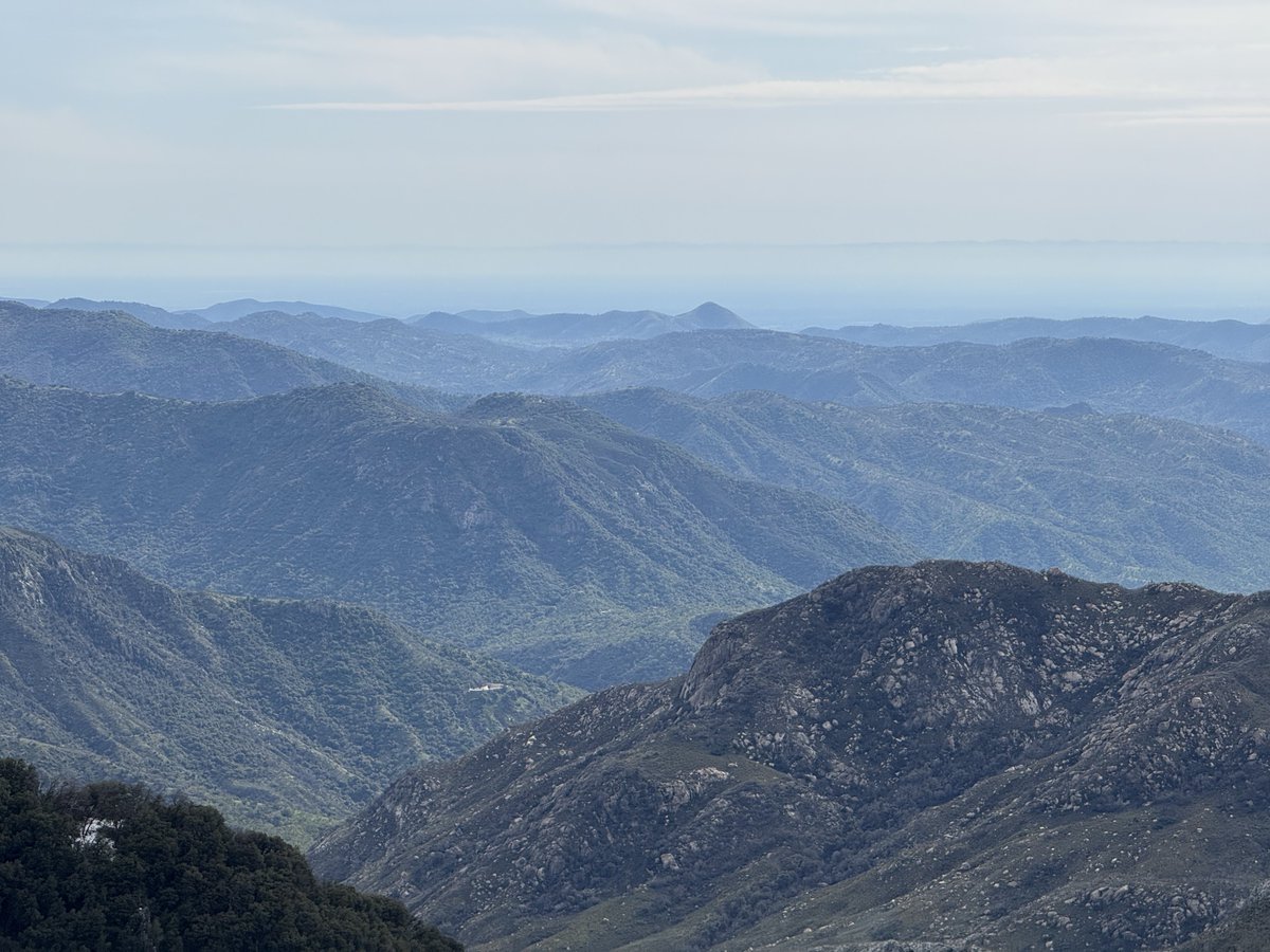 Charlie Chapman tweet media