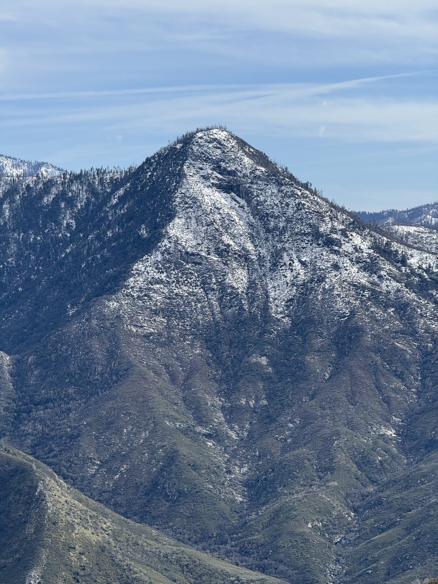 Charlie Chapman tweet media