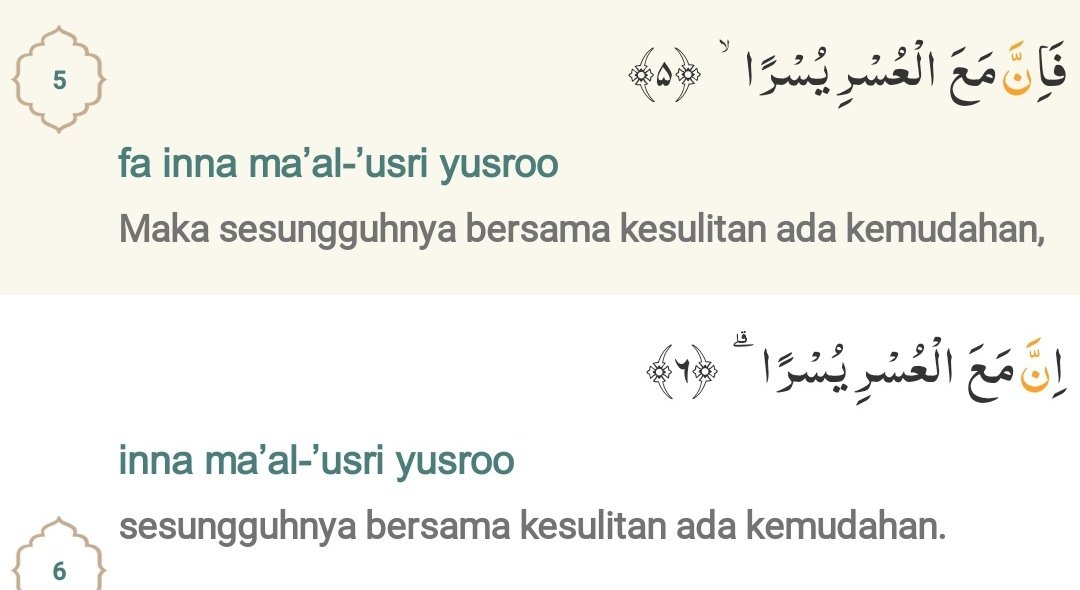 livv tweet media