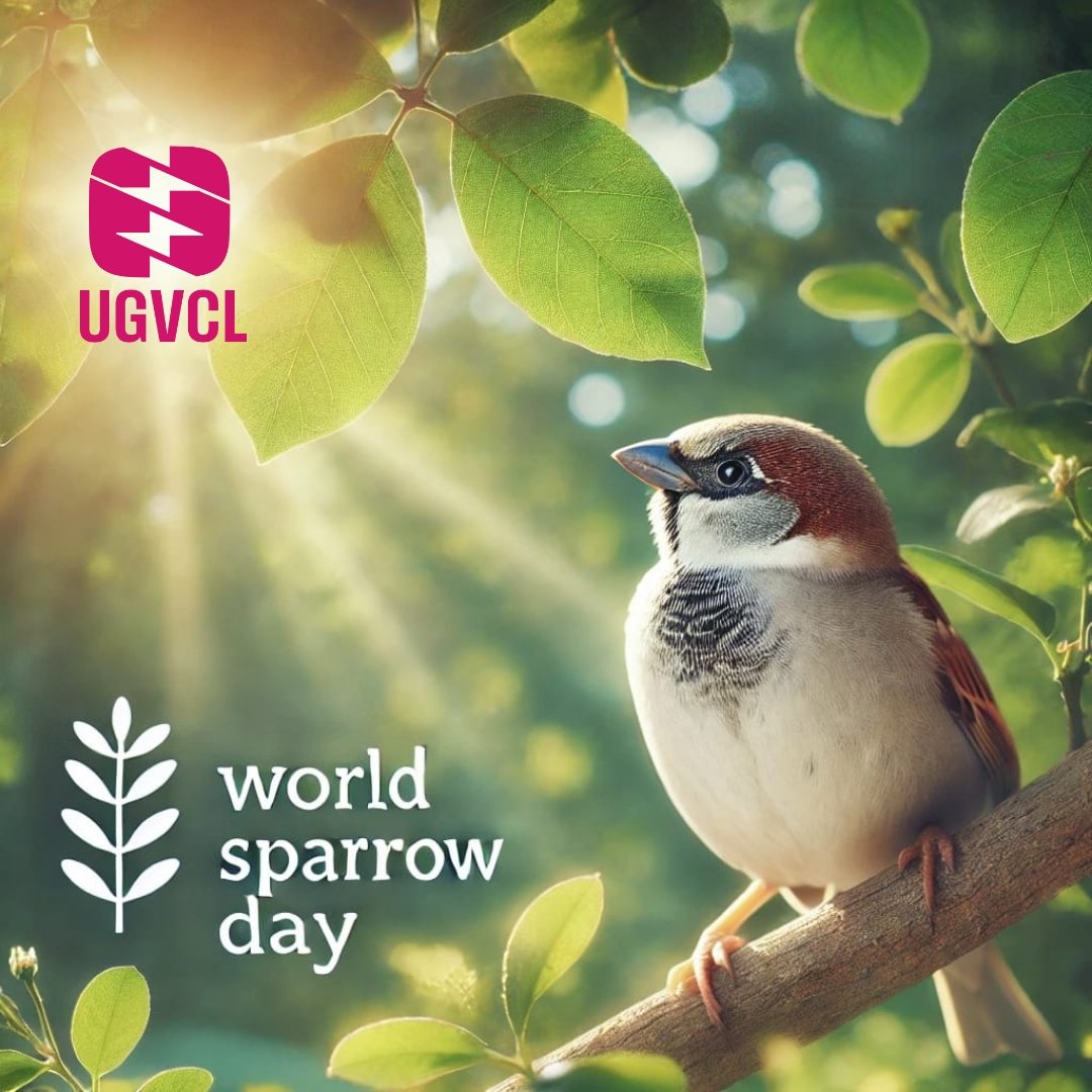 At UGVCL, our mission is to light up homes while preserving the world.

On this #WorldSparrowDay, let's commit to using green energy to protect nature and the sparrows that represent balance.

Together, we can make a big difference. 💡🌍🕊️ 

#UGVCL
#GreenEnergy
#SaveNature