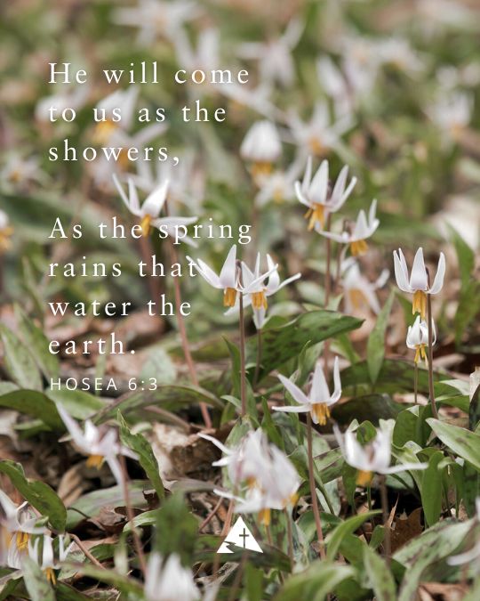 Today is the Vernal Equinox, thus also the beginning of Spring in the Western hemisphere. We hope you get some sunshine!