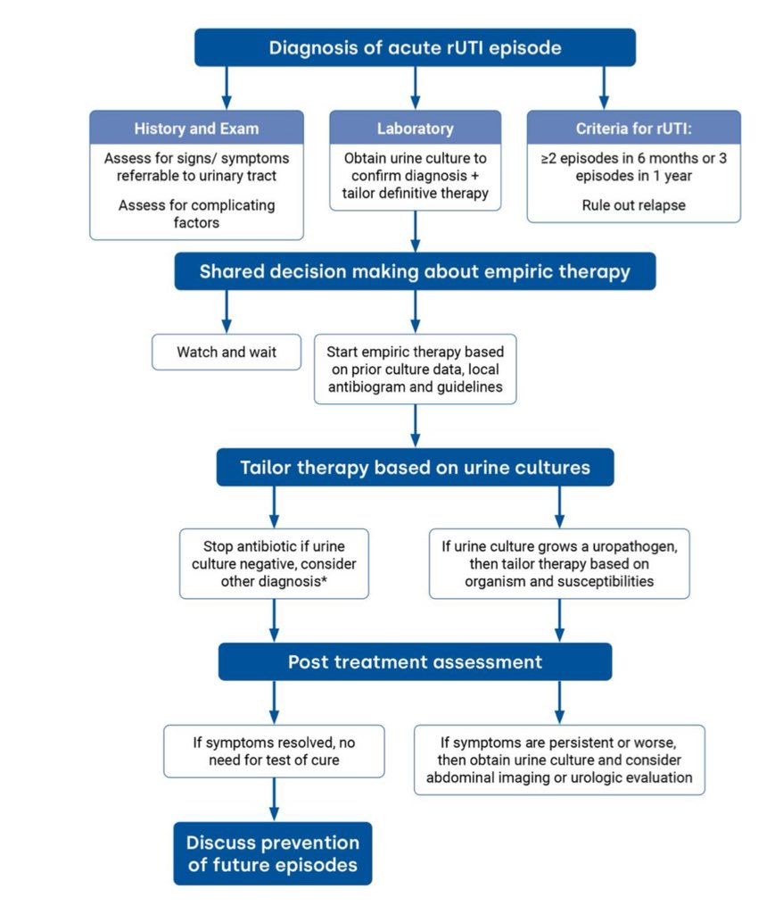 infeccHRUmalaga's tweet photo. IMPORTANTE‼️ en @CIDjournal #REVISION 🙇🏻♂️📚 #ITU #RECURRENTE en mujeres🚽🔄👩🏻💼un problema clínico frecuente🧑🏼⚕️💭
🔸Epidemiologia👵🏼
🔸Evaluación y definiciones📝
🔸Tratamiento💉
🔸Prevención(antibiótica y no antibiótica)💊🫐
🔸Derivación Gine o Urología🔪
🆓🔗https://t.co/XAfEH066Bn https://t.co/NOpWKKJTX2