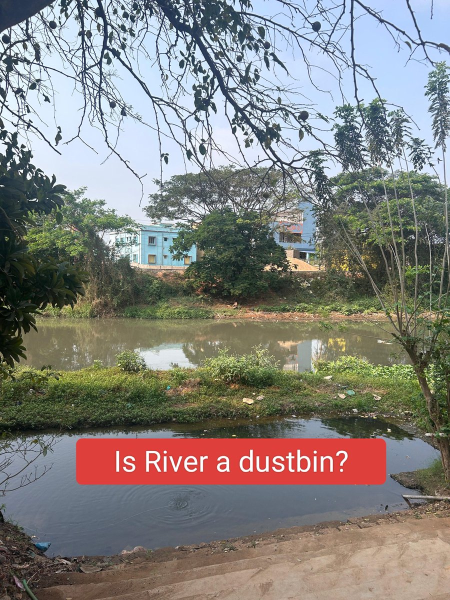 Save_Gangua tweet media