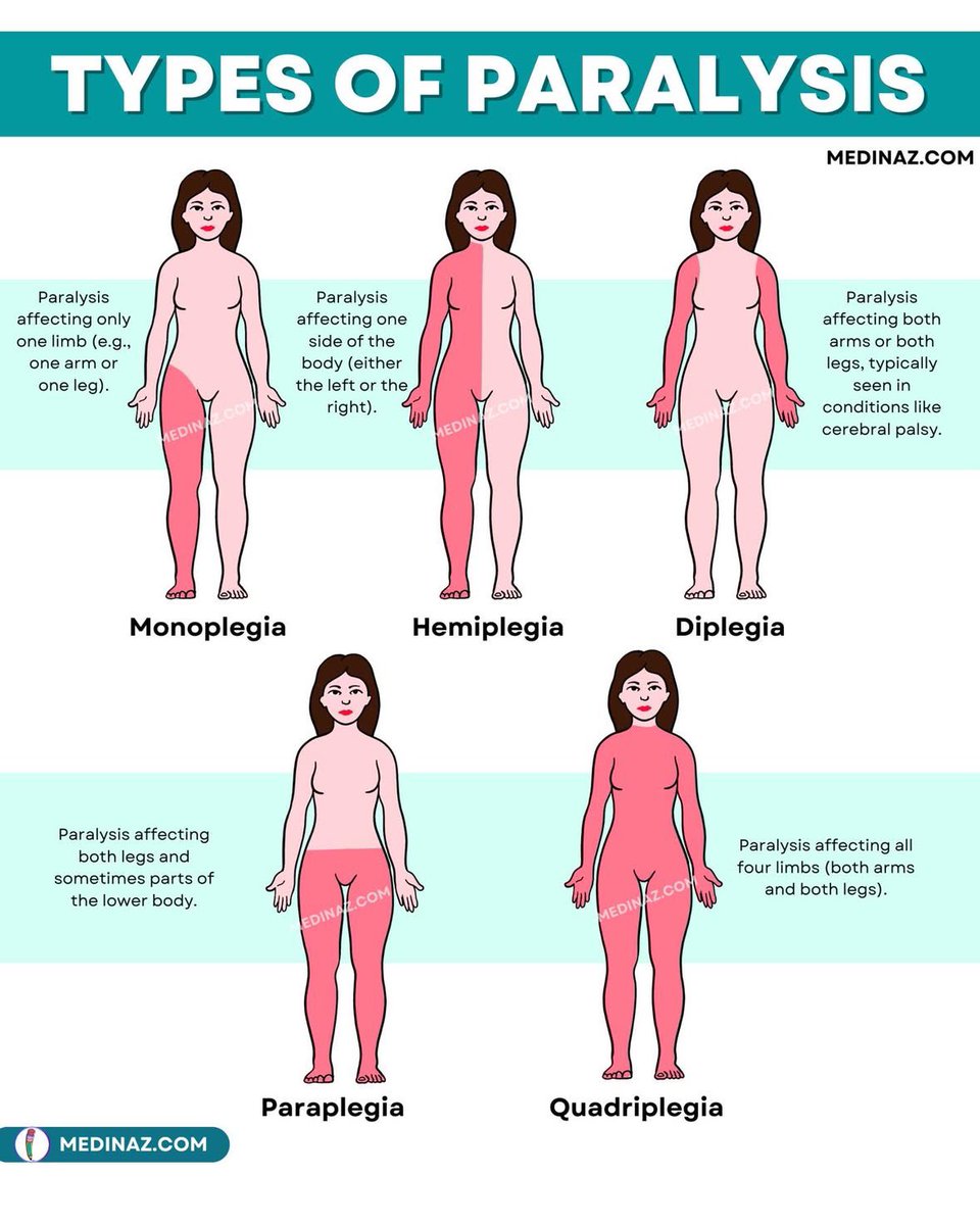 Dr Honey choudhary 🩺 (@doctors__squad) on Twitter photo 