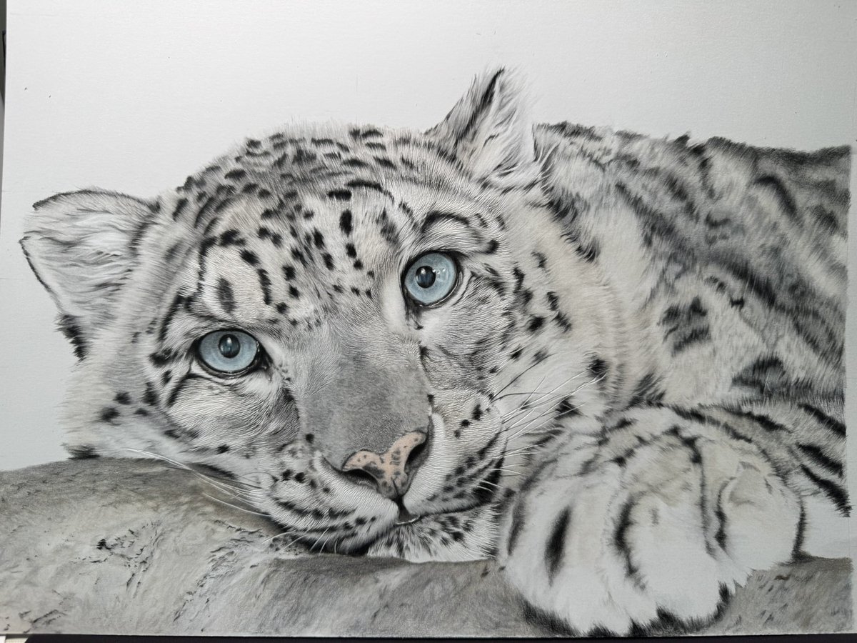 chihiro (@chihiro32757864) / Posts / X