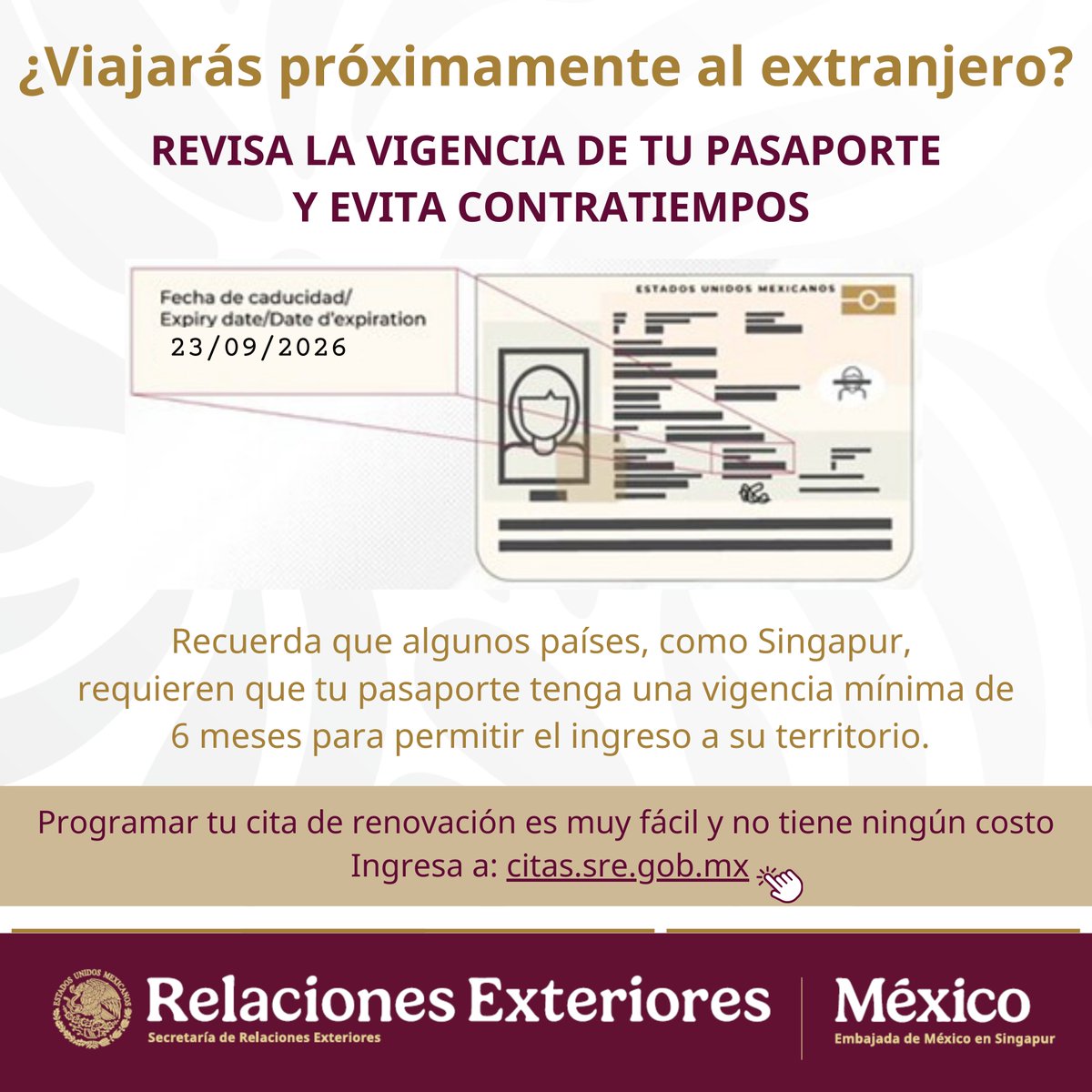 EmbaMexSing's tweet image. ¡ATENCIÓN! Mexicanos 🇲🇽 con planes de viaje a Singapur. 🇸🇬 

Recuerda que tu #Pasaporte debe tener más de 6 meses de vigencia y contar con boletos de viaje que demuestren que tu estadía no será mayor a la validez de su pase de visita. Más información 🛂 ica.gov.sg/enter-transit-…