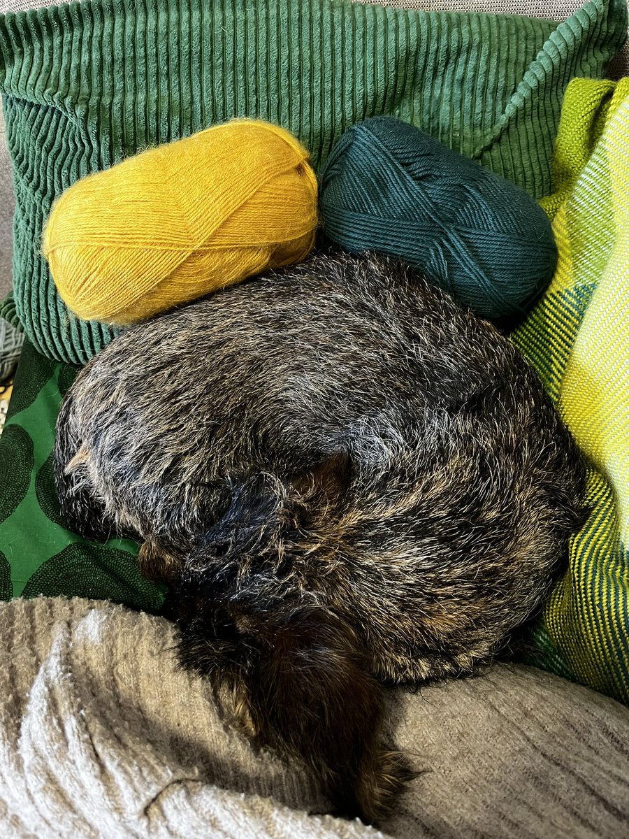 HeidiJuopperi's tweet image. Kerällä. 
#stilleben 
#taide