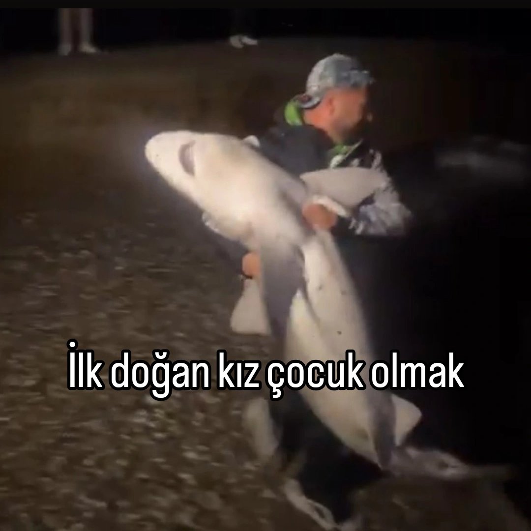 ANLIK (@anlikmod) on Twitter photo 