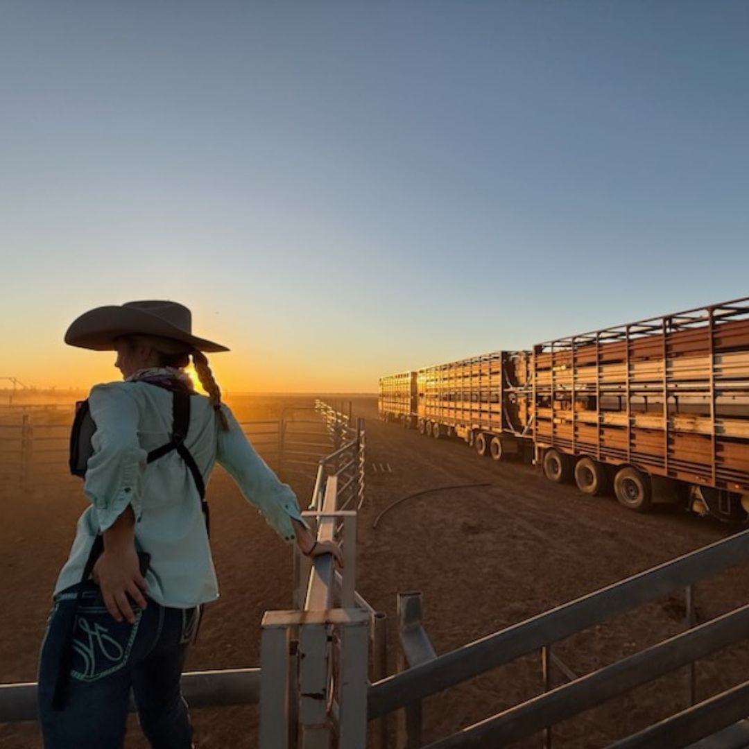 AgCAREERSTART's tweet image. The 2025 cohort has kicked off!

#GapYearAU #WorkAndTravel#FarmLifeAU #ExploreAustralia #TravelGoals #FarmWorkAU #ExperienceLife #TravelAustralia #FarmLifeExperience #TravelInspiration #FarmAdventures #TravelTheWorld #AussieFarmLife