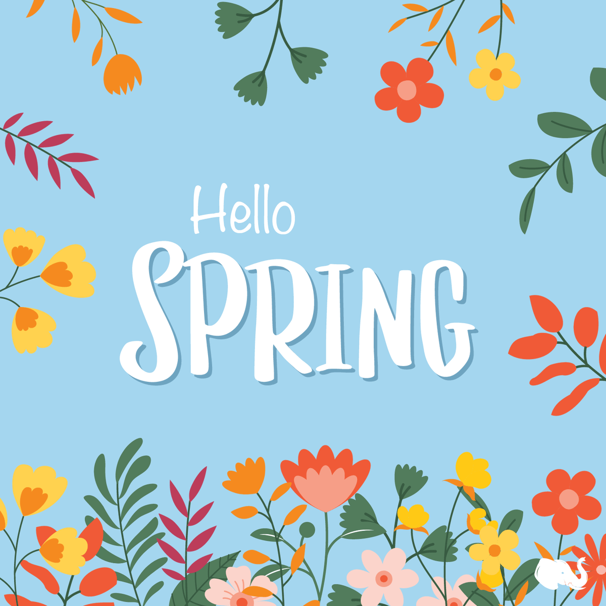 Spring has sprung! Happy first day of spring! Go out and smell the roses. #firstdayofspring #springhassprung