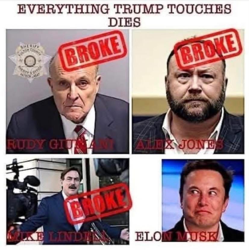 christine tweet media