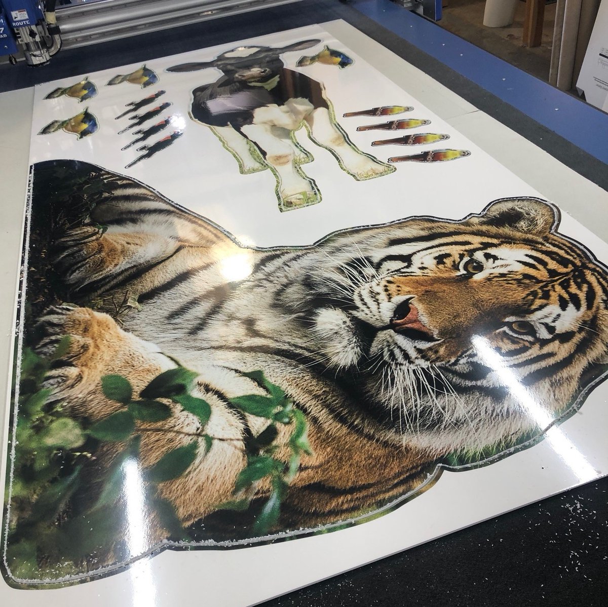 Gail Harrison tweet media