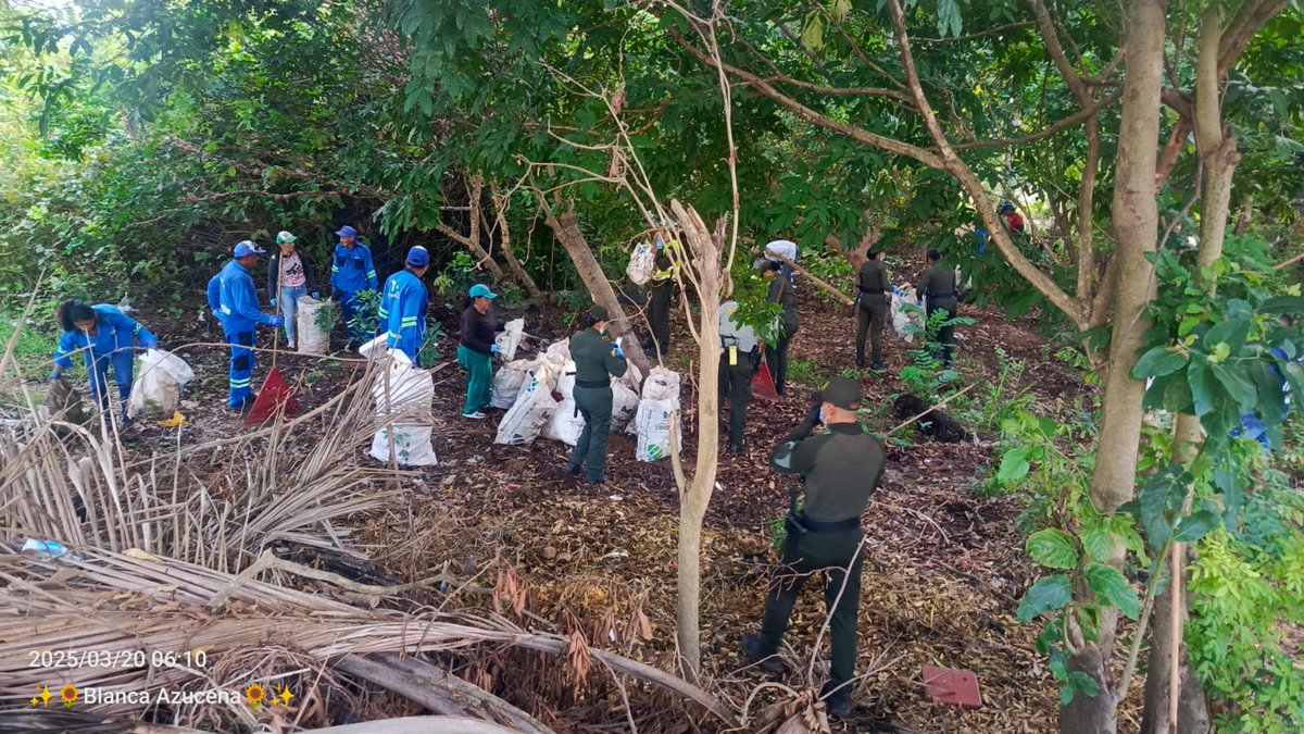 oscarivanperez's tweet photo. #Union @pcarrenovichada, #Emcap, @ArmadaColombia, @PoliciaVichada esta mañana se llevó a cabo la jornada de recuperación de la zona sur del humedal Sta Teresita (calle 19).
Se recolectaron más de 500 kg de basura.
Seguimos trabajando
#PuertoCarreñoPotencia #LoHacemosPosible https://t.co/kmlbayvwAA