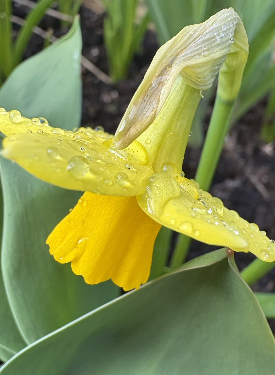Well it is the first day of spring and a belter of a day ☀️☀️☀️it is days like this that make you think about spending time in your garden, perhaps with a glass of wine (or two!)
Get in touch  if you are looking for some help📲  #gardener #gardenerleeds #gardenmaintance