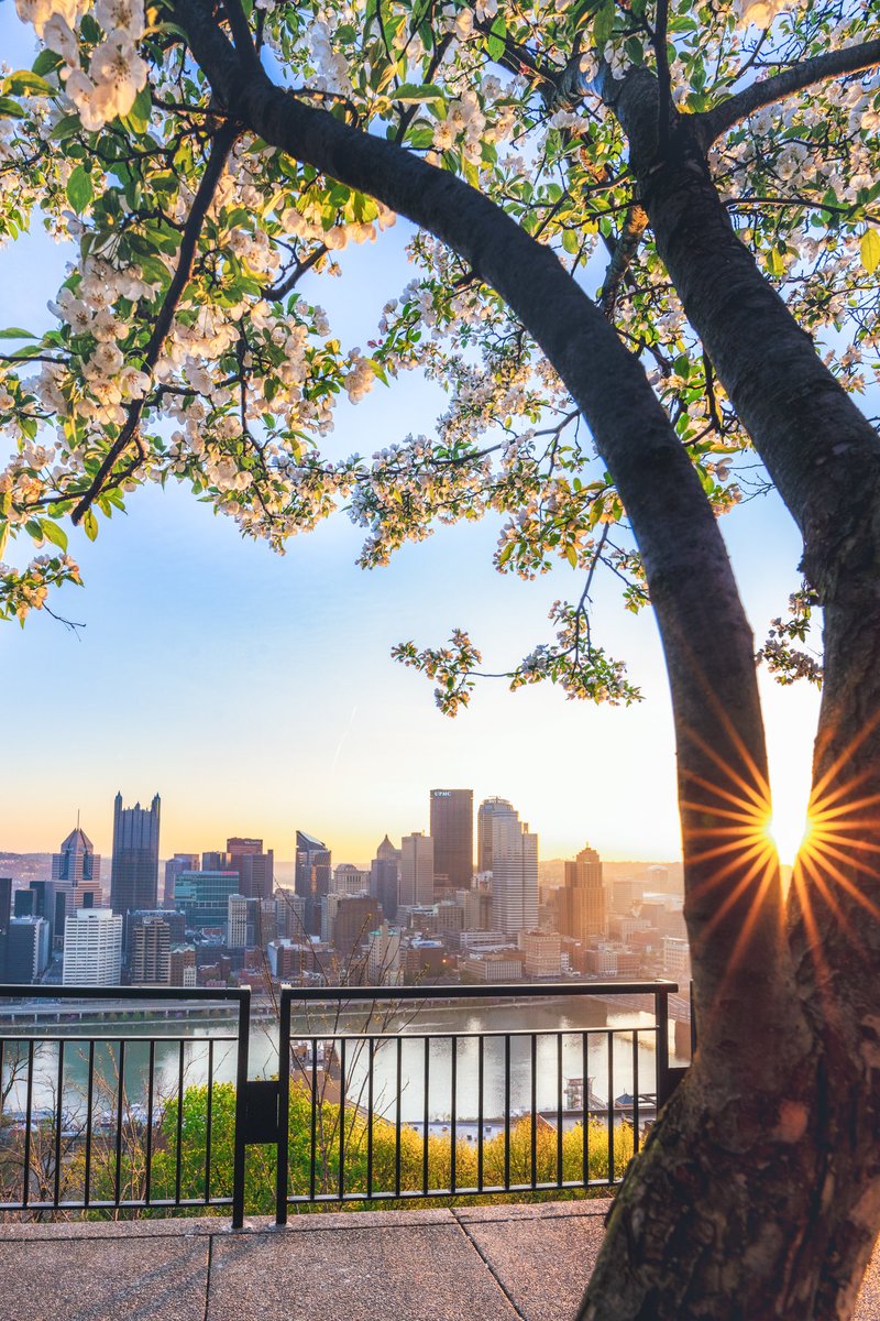 Happy first day of spring! #Pittsburgh
