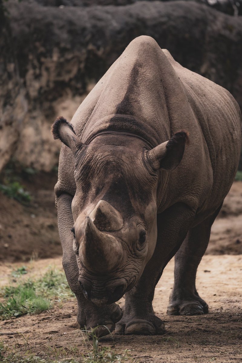 動物の写真を撮ってます！
 #知名度を上げたいので拡散してください