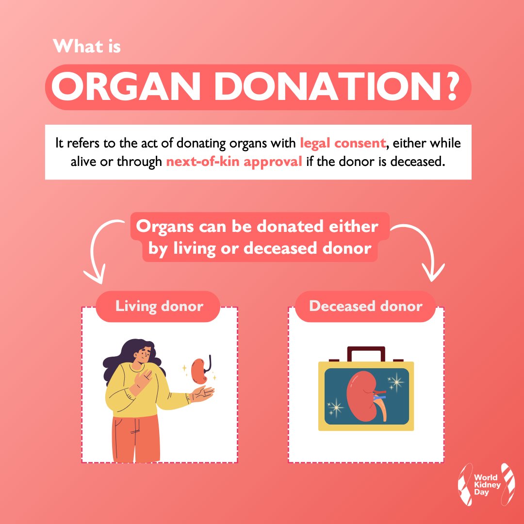 Who are kidney donors? There are two types: living donors, who voluntarily donate a kidney, and deceased donors, who have previously expressed their wish to donate their organs.

Every organ donation is a gift of life 💚

💡 Learn more: worldkidneyday.org/about-kidney-h…

#WorldKidneyDay