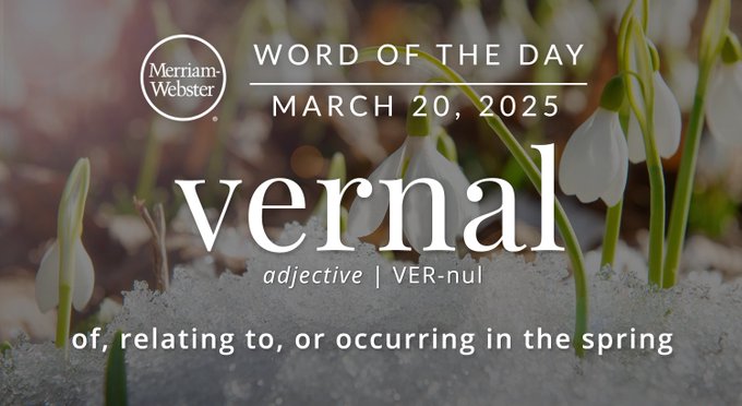 Merriam-Webster Word of the Day March 20, 2025 'vernal' adjective | VER-nul "of, relating to, or occurring in the spring" Background Image: Plants growing through snow