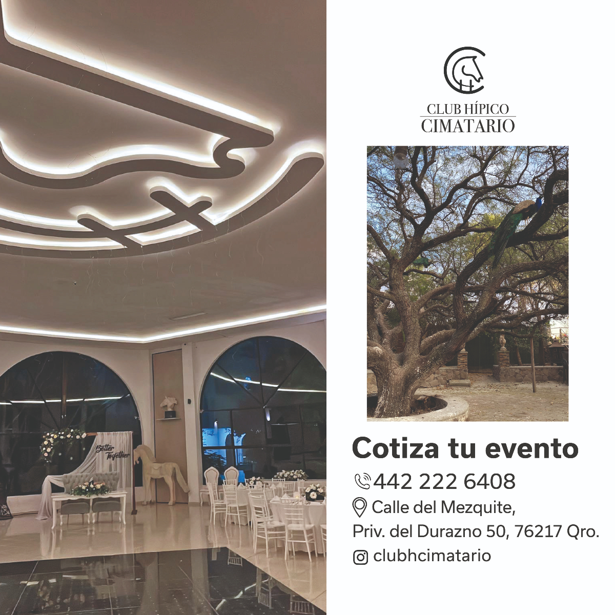 ADQueretaro's tweet image. Naturaleza y paz en el Club Hipico. Bodas 💍, eventos ejecutivos, sesiones fotográficas con caballos 🐎 y mucho más para una experiencia única.
hipicoqueretaro.com
#eventos #sociales #networking #business