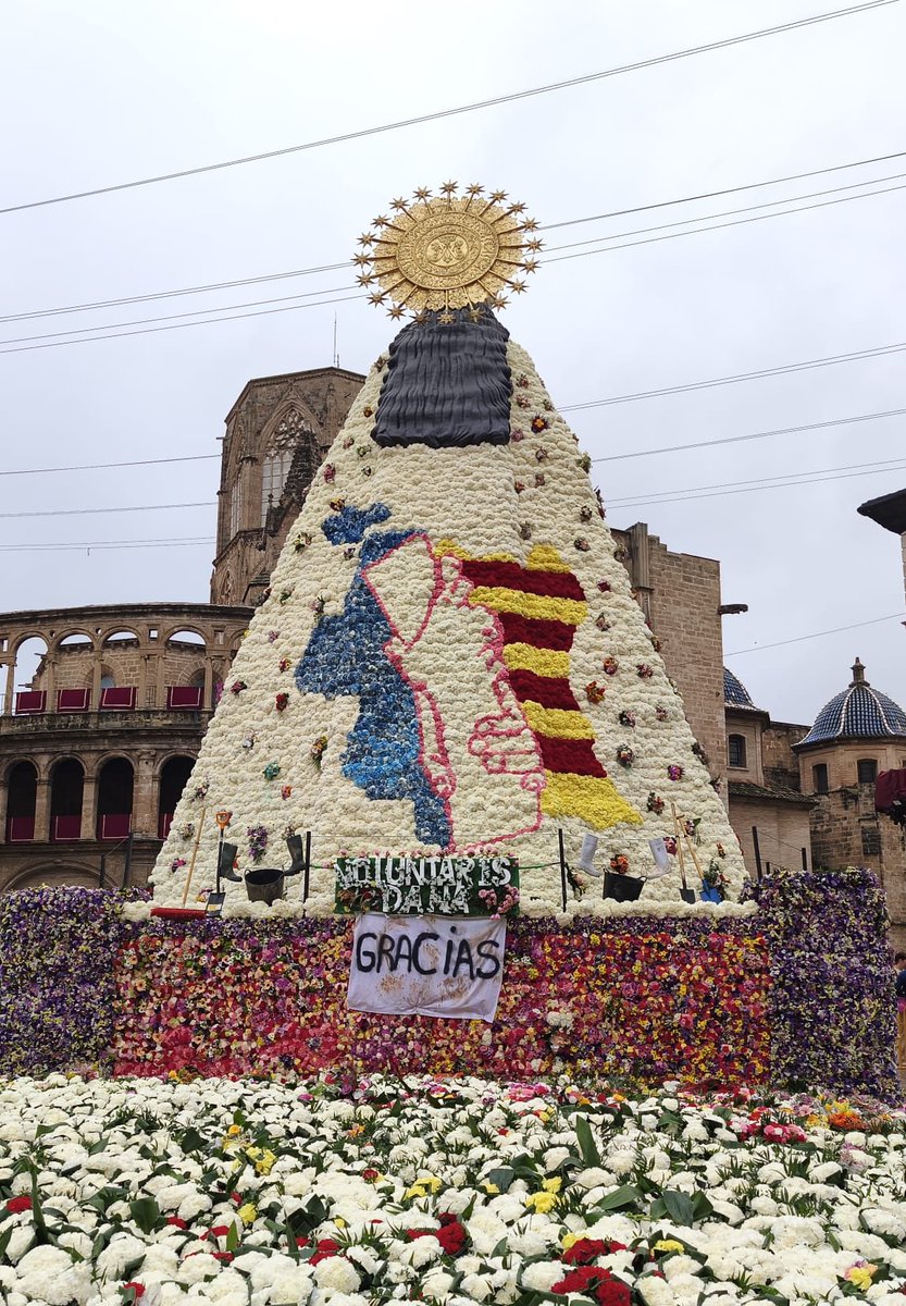 AjuntamentVLC's tweet image. 💐Encara no has contemplat el resultat de l'#Ofrena25? 
🌷Les flors de falleres i fallers i el treball dels vestidors han deixat a la Mare de Déu👑 amb un mant preciós homenatge a les víctimes de la #DANA i voluntaris
🗓️Exposat fins dilluns, que començarà la retirada. 
#Falles25