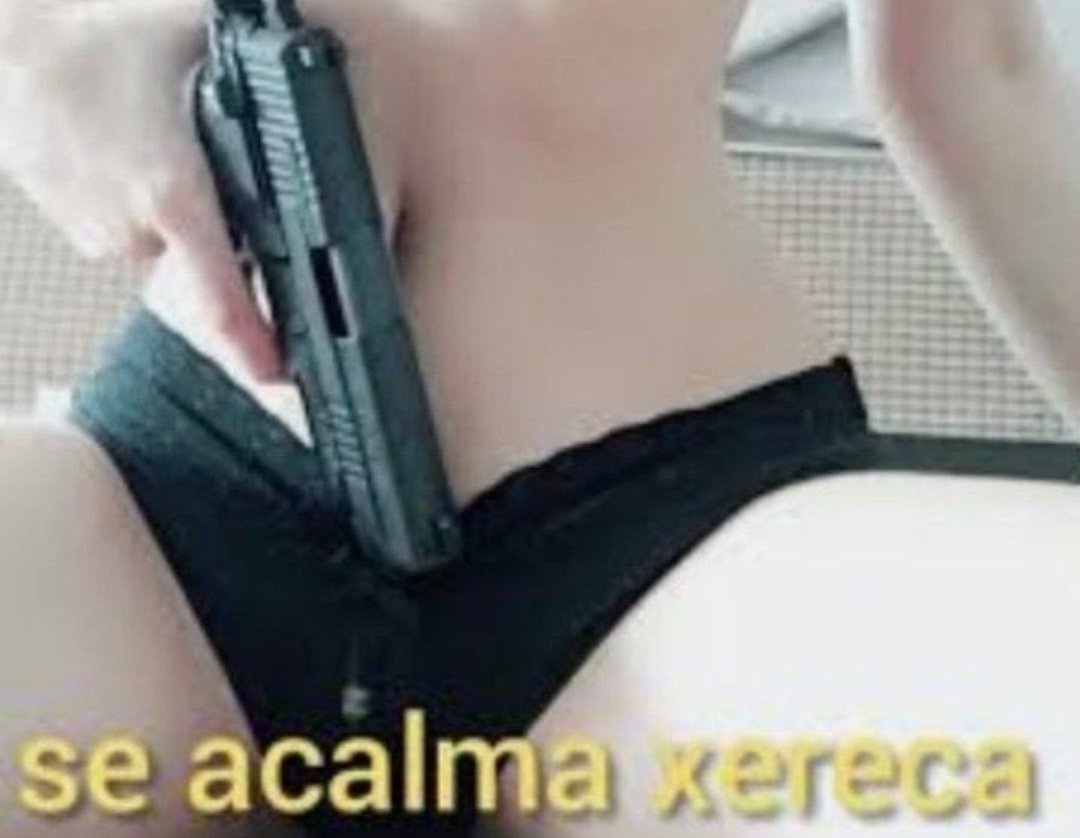 perfil dedicado a gatinhos e peitos (@odeiootaco) on Twitter photo 