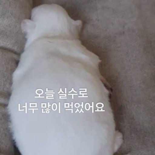 진짜야무지게먹어서너무웃겨
어제의 성찬 :