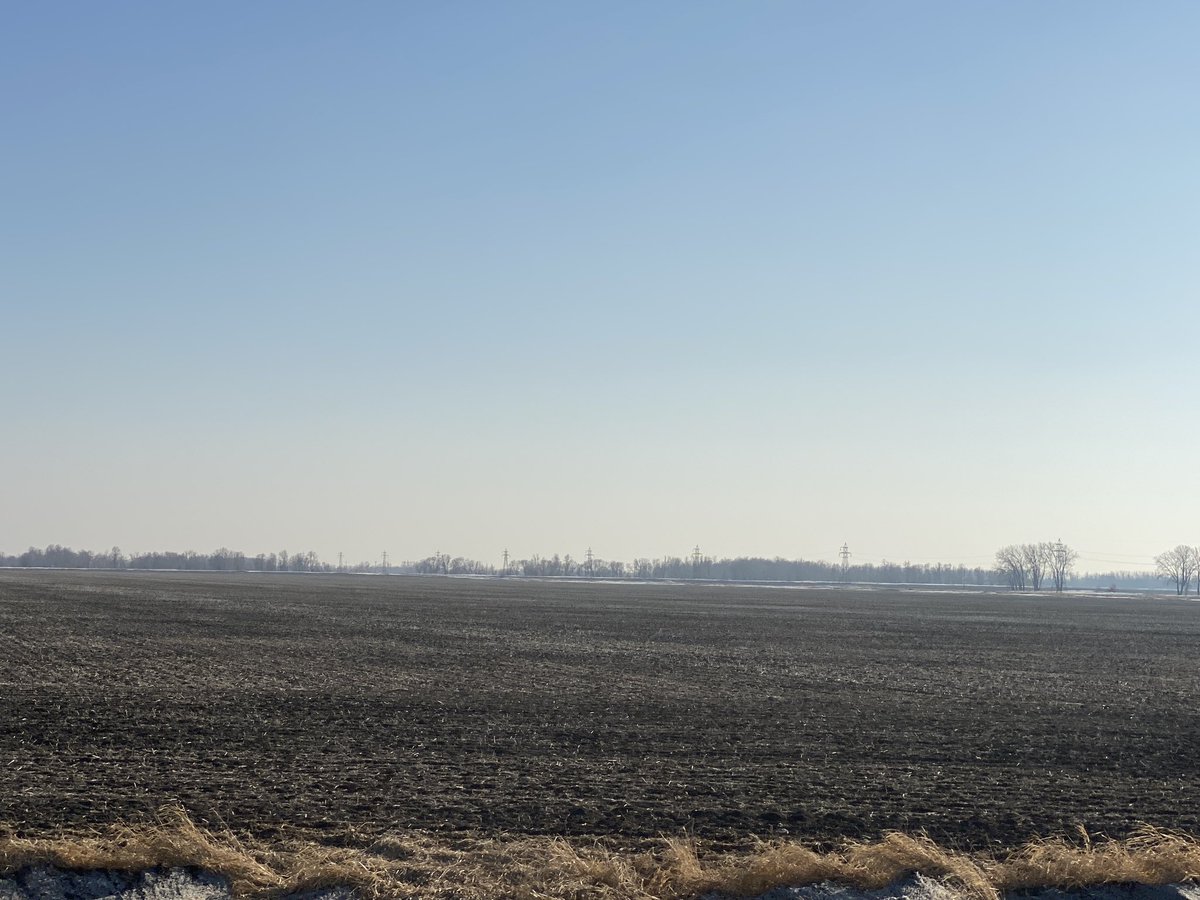 Rachel Evans tweet media