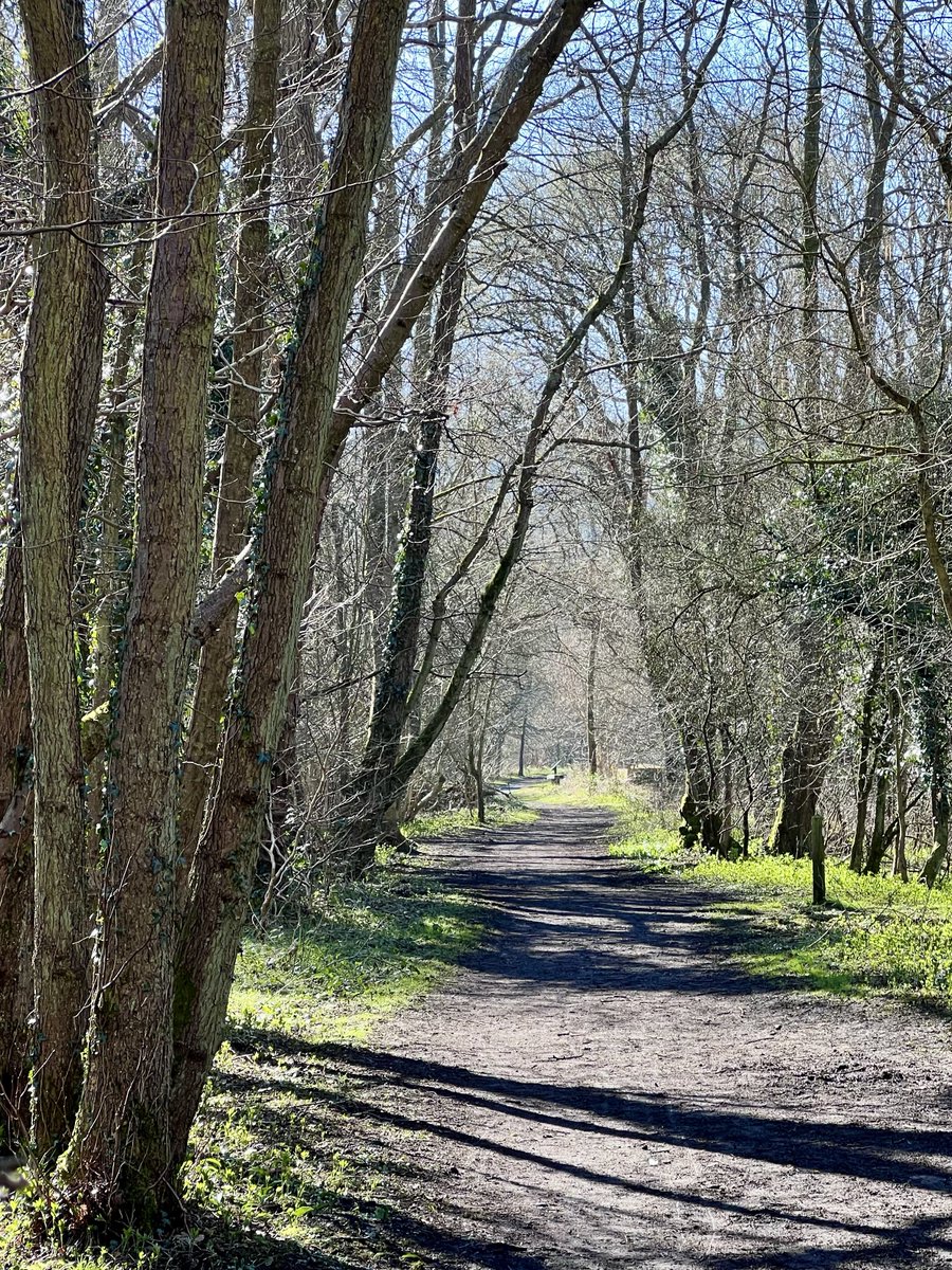 MoorsClues's tweet photo. Morning light on this North York Moors path 🌞 Shadows point northwest—nature’s compass! Where would you wander on this trail? #MoorsClues #NatureSigns #TristanGooley https://t.co/Ulp0wK0nMZ