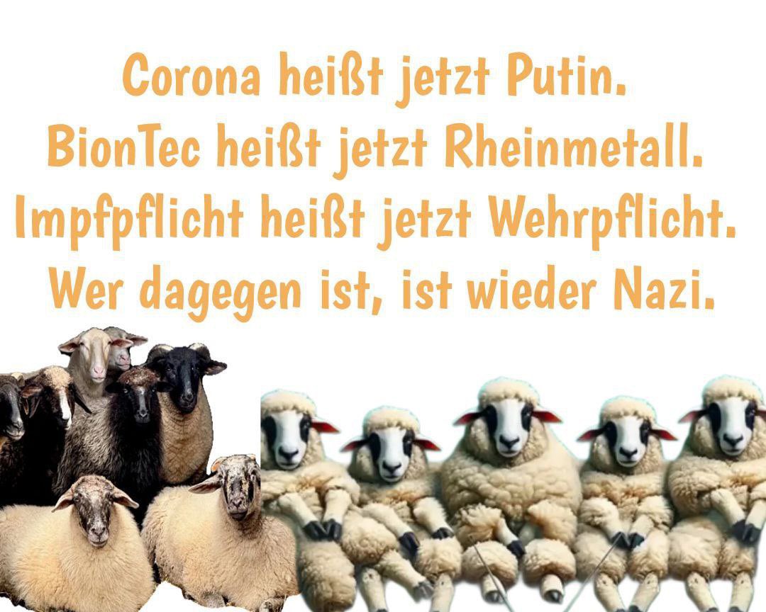 <a href="/RKiesewetter/">Roderich Kiesewetter🇪🇺🇩🇪🇮🇱🇺🇦</a>