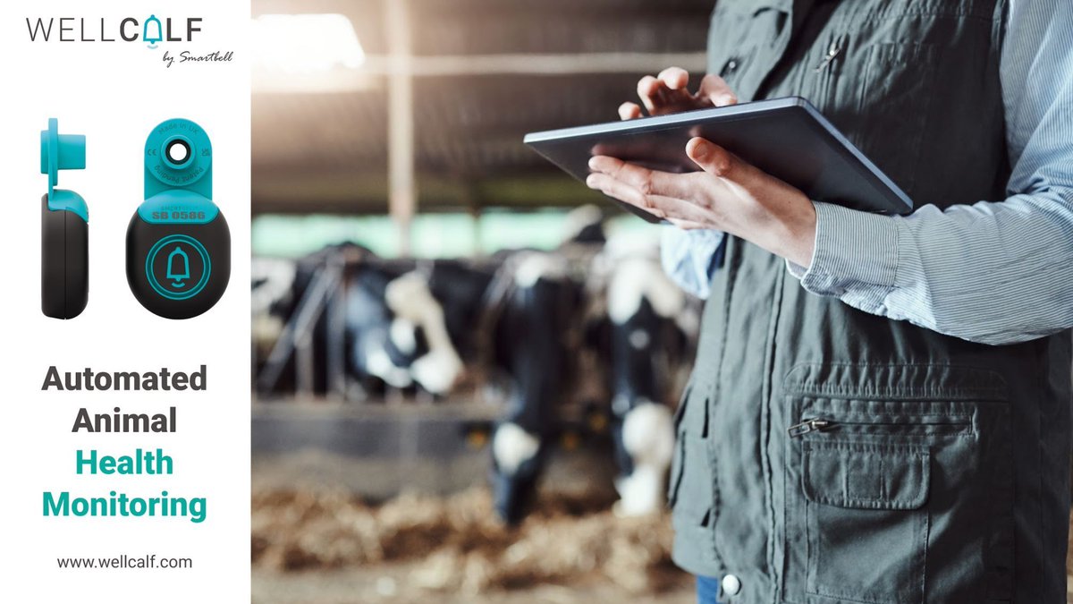 📊 Farmers make hundreds of decisions daily—real-time data helps them act faster, reduce losses, and improve herd health.

💡 Wellcalf Tags:
✅ Detect illness early
✅ Guide treatment timing
✅ Optimise feeding

📈 Healthier herds = higher productivity

🔗 wellcalf.com/calf-health-mo…