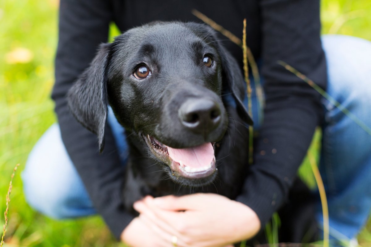 Every pet deserves protection. 🐾 

From city apartments to rural farms, parasite risks vary. In honor of World #ParasiteAwarenessDay...

Make an appointment with your vet to build a personalized protection plan!