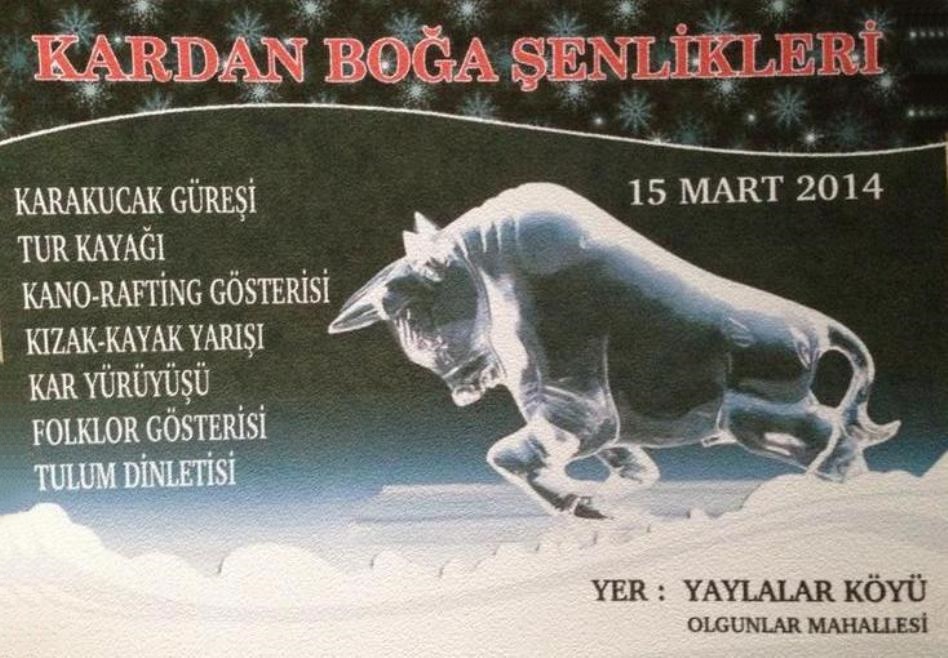 Yener Dedeoğlu tweet media