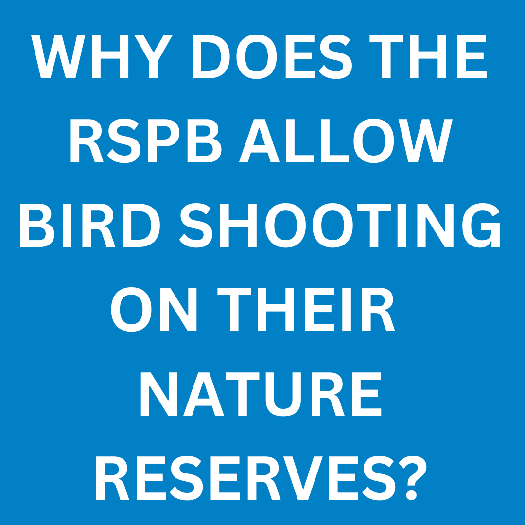 ProtectTheWild_'s tweet photo. Fair question surely? https://t.co/TNE4rfl4J1