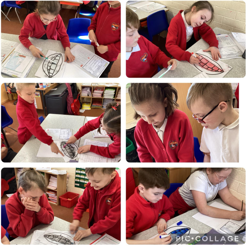 Ash class have been investigating the enamel on teeth and have carried out an experiment to test which type of toothbrush works best to clean teeth.