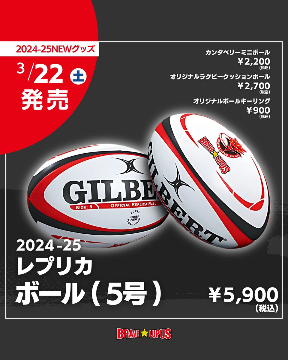 ── R12 3/22グッズ告知👀 ── ①・レプリカボール(5号) ¥5,900