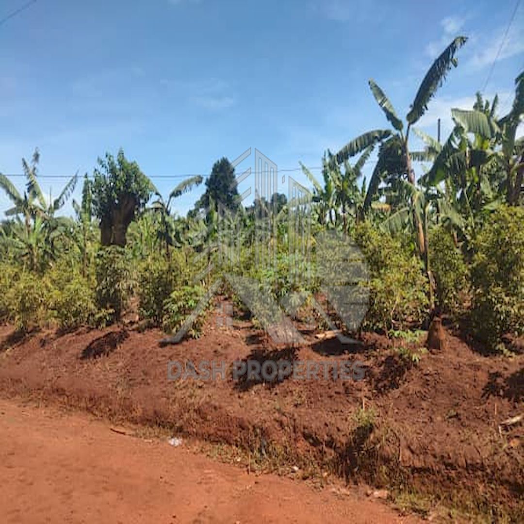 Properties_Dash's tweet image. For Sale: 100x100 ft commercial land in Buyege, Kasanje. UGX 50M (negotiable). Mailo title, main road access, 2km from Kasanje town. Ideal for business or homes. Call +256 754 306602. #RealEstate #UgandaProperty #DashProperties
dashproperties.ug/?p=19200