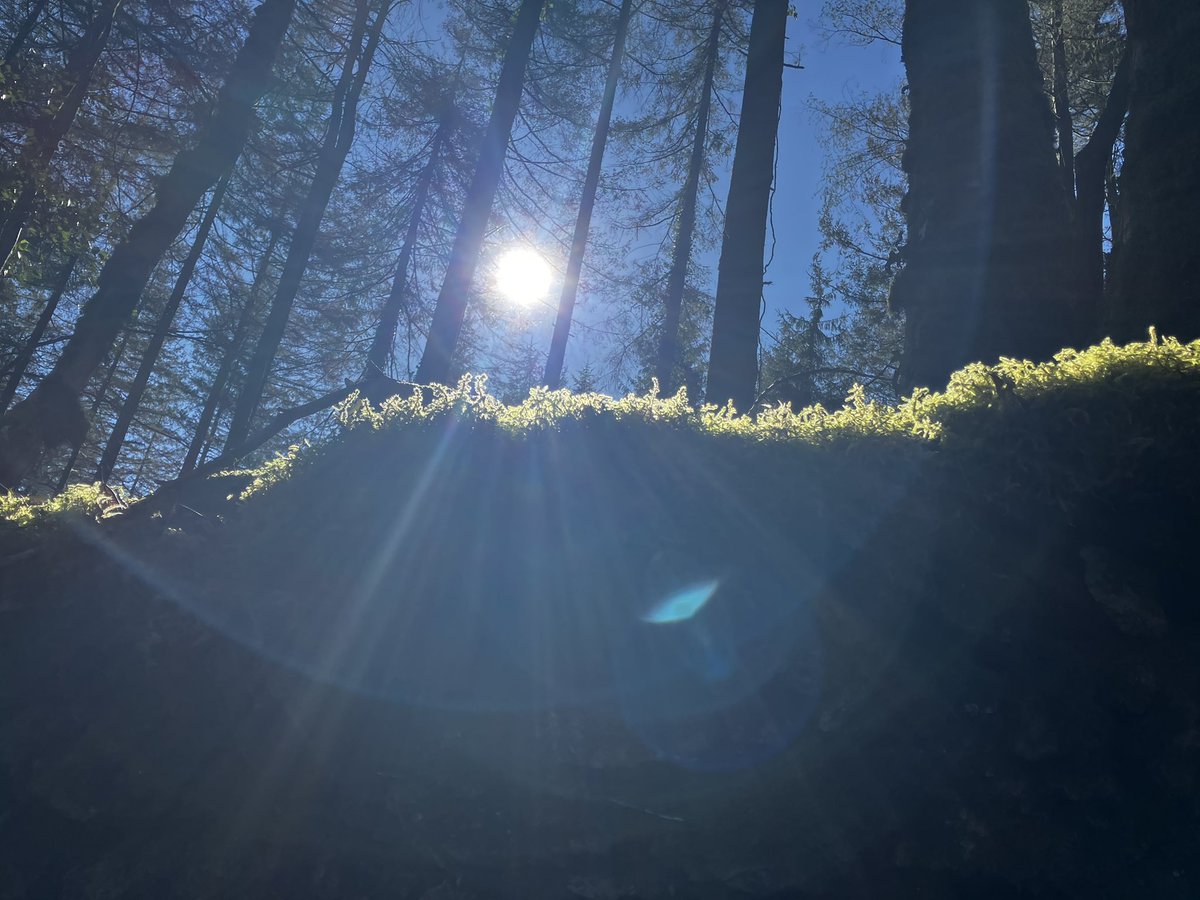 Happy Equinox!