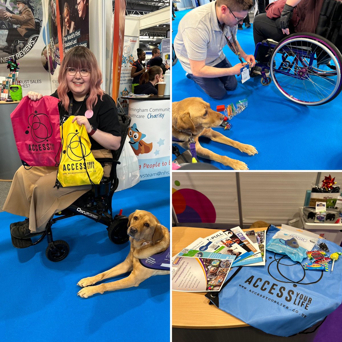 Access Your Life tweet media