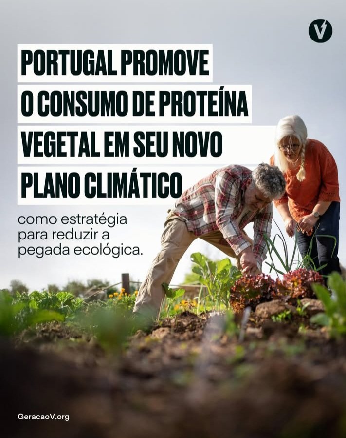#Portugal promotes plant-based protein consumption in its new climate plan 🌱💚#Portugal #Sustainability #Climate #PlantBasedProtein #HealthyEating #Environment #EcoFriendly #SustainableDiet #HealthyFood #GreenPlanet #EnvironmentalAwareness #Vegan #ClimateChange