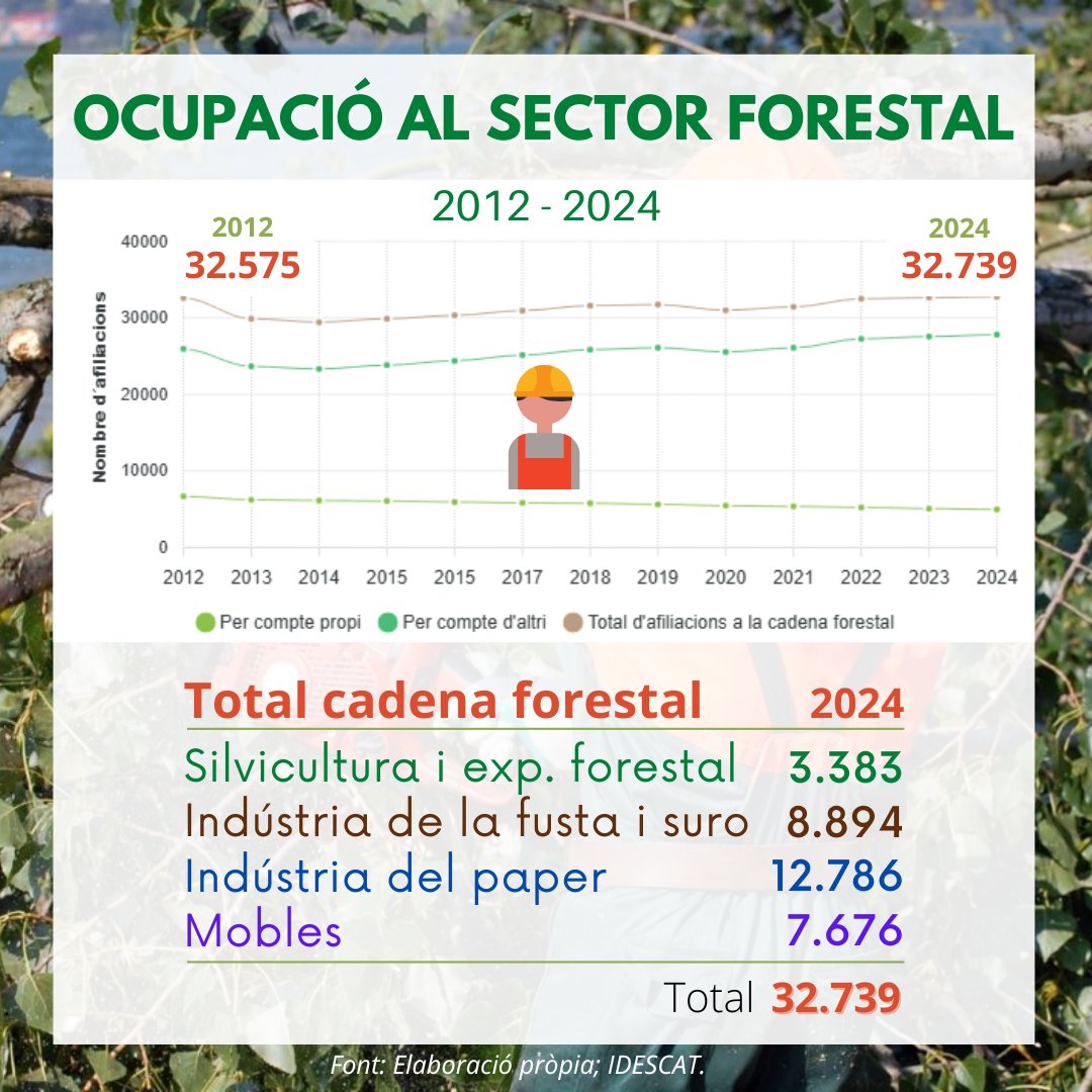 Incorporem registre del nombre d'afiliacions 2024 a la cadena #forestal.
◾ Silvicultura i exp. forestal
◾ Indústria de la fusta i suro
◾ Indústria del paper
◾ Mobles