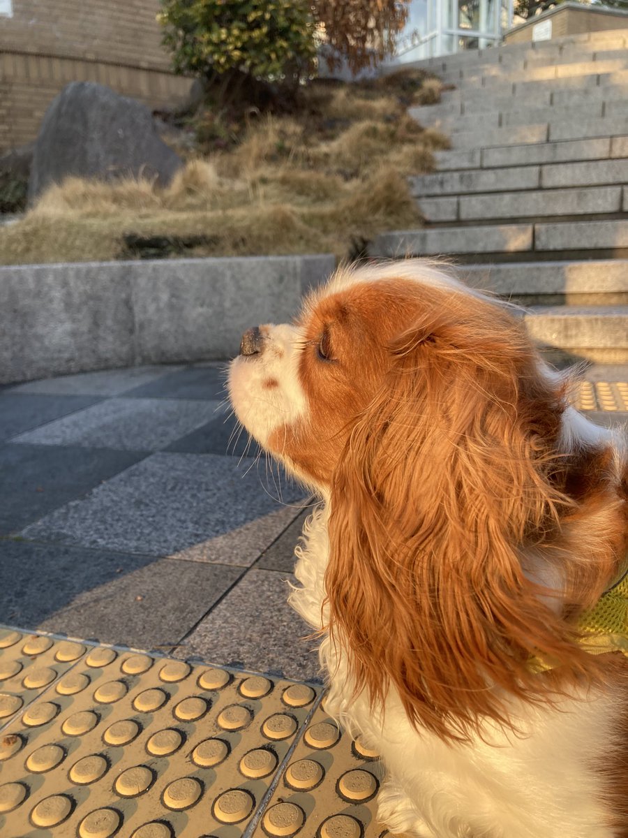 cando1998's tweet image. 天使の横顔