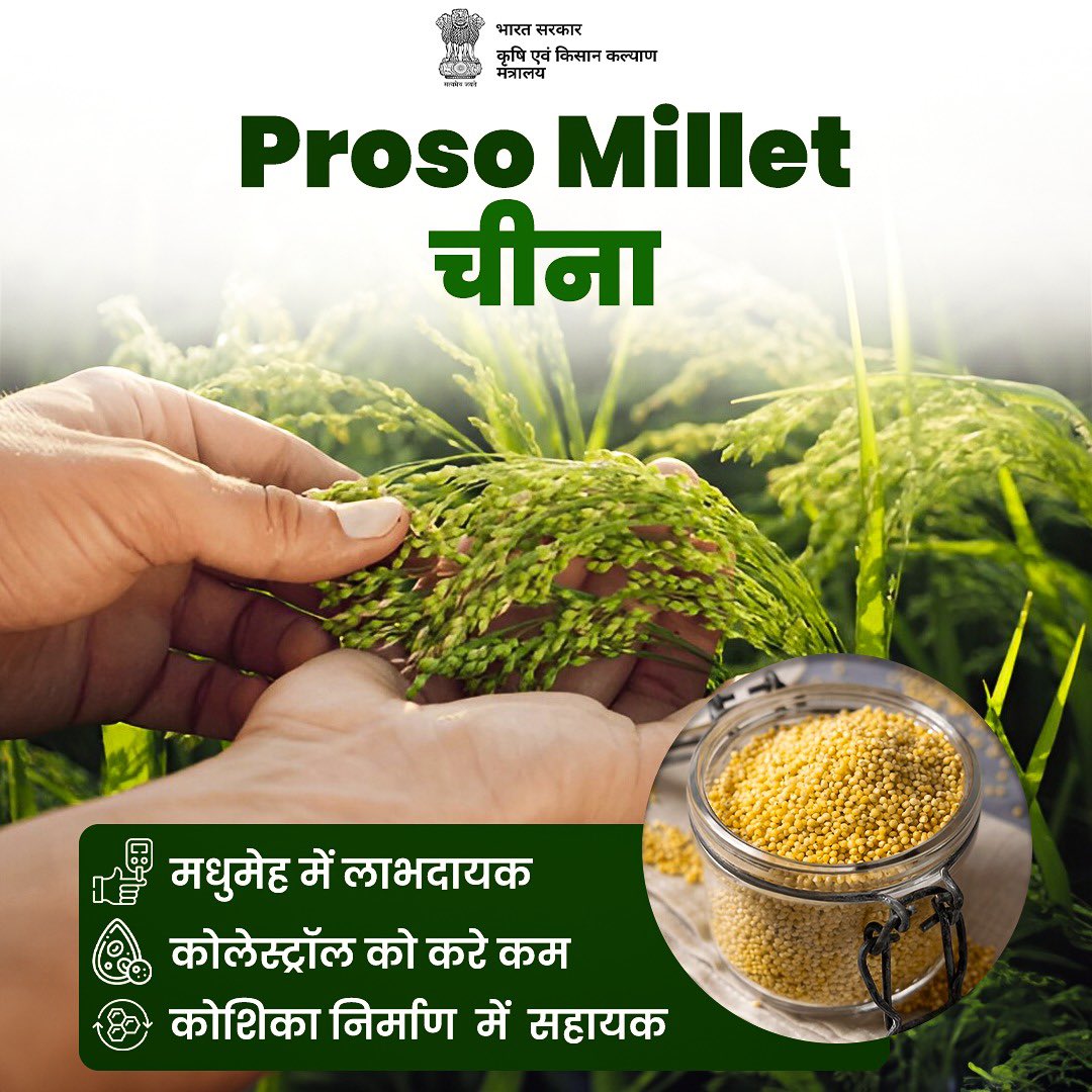 चीनाः पोषण से भरपूर, सेहत के लिए अनमोल!
✔ मधुमेह नियंत्रण में सहायक  
✔ कोलेस्ट्रॉल कम करने में मददगार  
✔ कोशिका निर्माण को बढ़ावा देने वाला  

स्वस्थ जीवन के लिए पारंपरिक अनाज अपनाएं!

#IYM2023 #ShreeAnna #healthylifestyle
