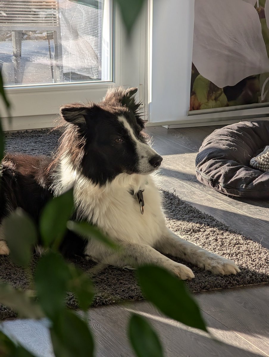 Stream plan for this weekend 
Thursday: #SpaceMarine2
Friday: #MonsterHunterWilds 
Saturday: #worldofwarcraft
❤️❤️❤️❤️
#twitch #twitchstreamer