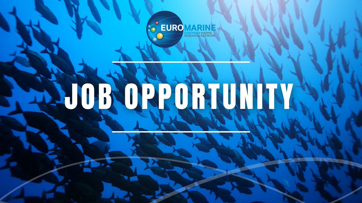 🌍 MSCA Postdoctoral Fellowships at Sorbonne Université and Its Alliance 🎓

The Sorbonne Université Alliance invites applications for #MSCA-PF in collaboration with its renowned research partners CNRS, MNHN, INSERM, UTC, and IRD.

sorbonne-universite.fr/en/news/msca-p…