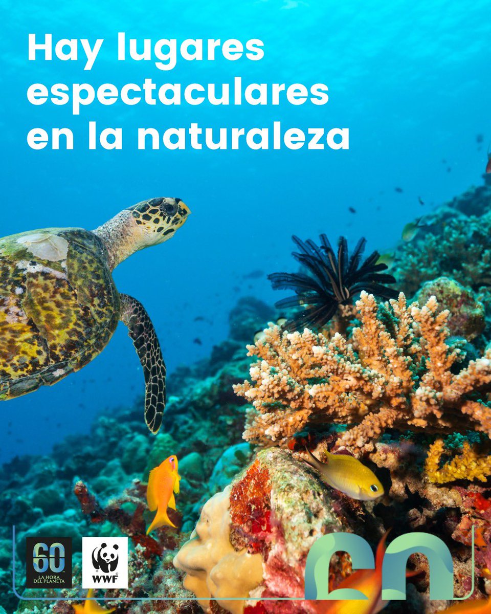 🌍 El Ayuntamiento de Mazarrón se une a la #HoraDelPlaneta. Apaga la luz el 22 de marzo de 20:30 a 21:30 y enciende tu compromiso con la naturaleza. 📸 Comparte tu rincón favorito con #MiRinconDelPlaneta y únete al movimiento. ¡Súmate al cambio! 💡💚