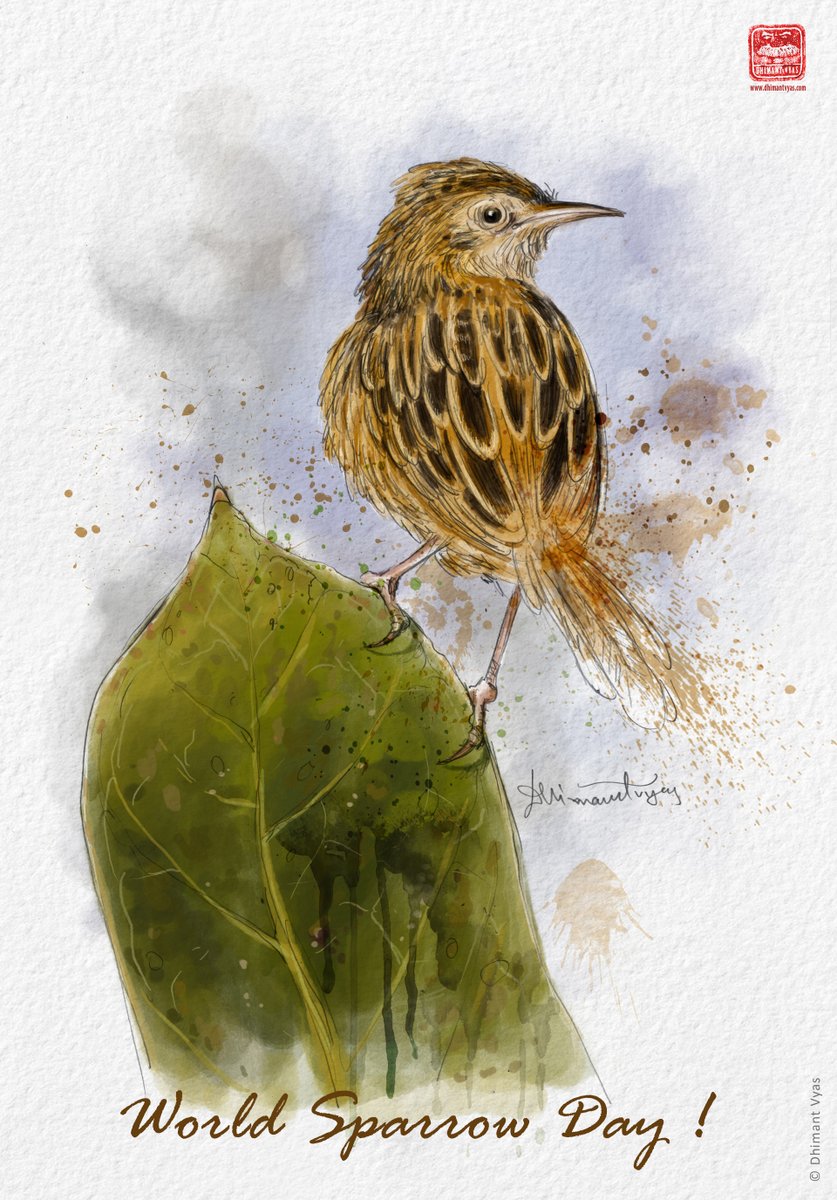World Sparrow Day!