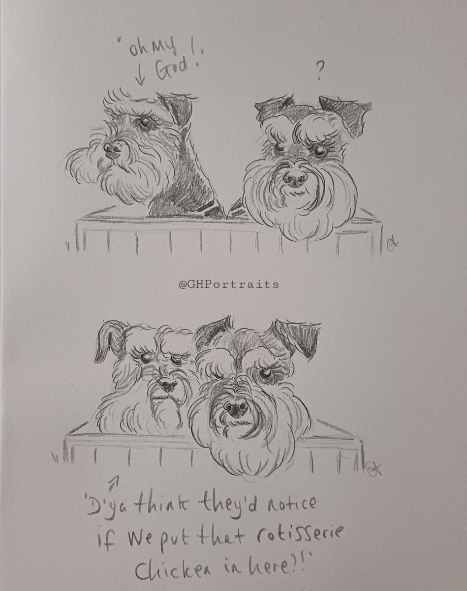 Fun art of our boys I did yesterday,from our shopping trip!😆🐶💕🐶🍗👀
#ilovemydogs #schnauzerart #schnauzergang #dogsofx #dogsoftwitter #dogdrawings #myart